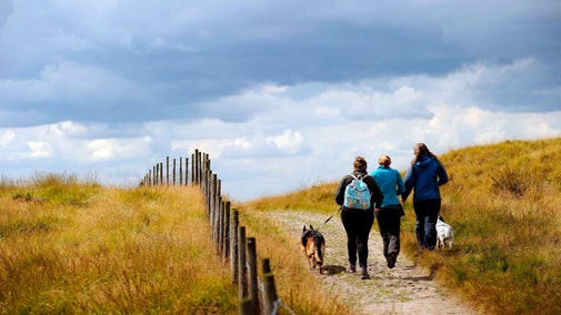 Walkers with dogs on Marsden Moor Estate, West Yorkshire